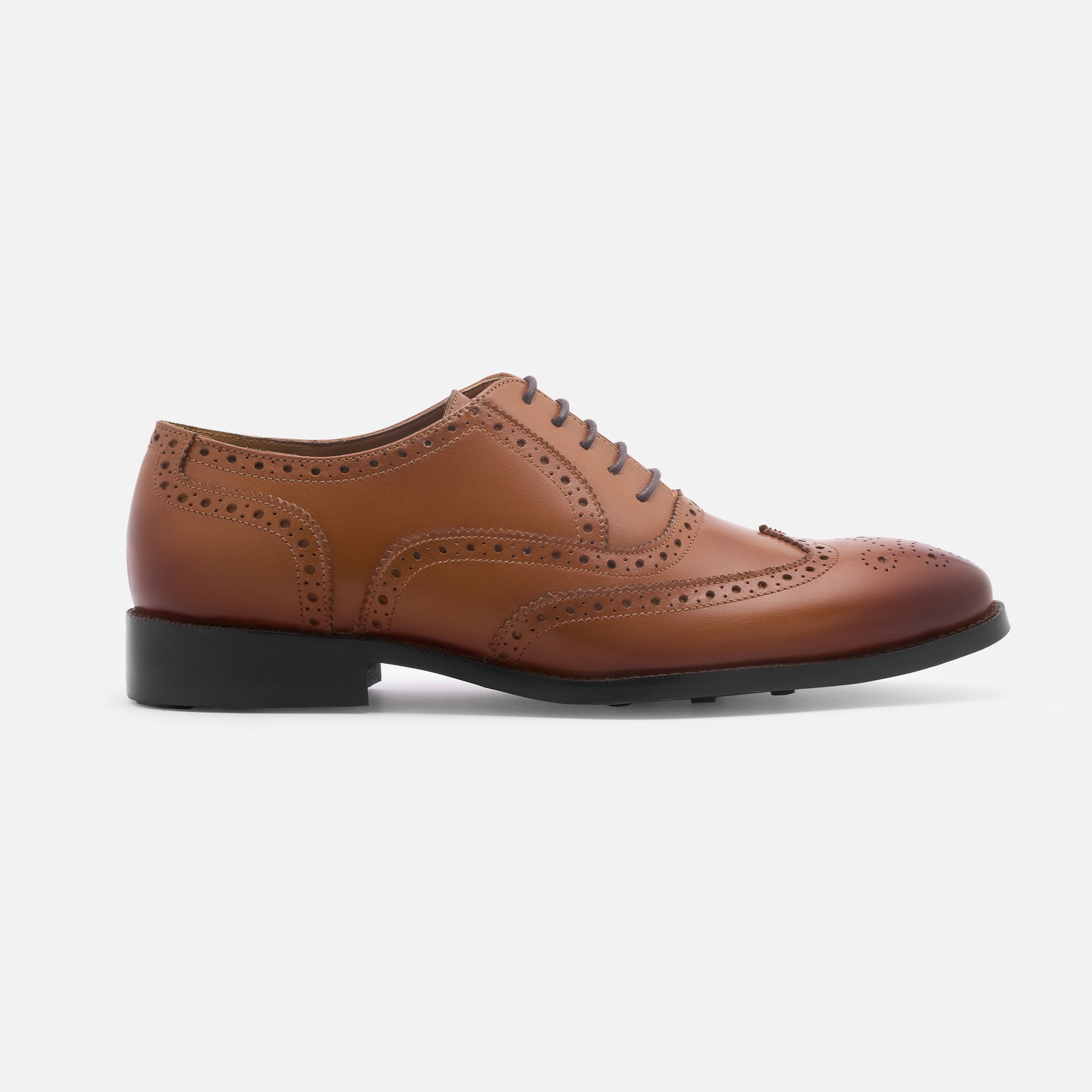 Tan Scott Brogue